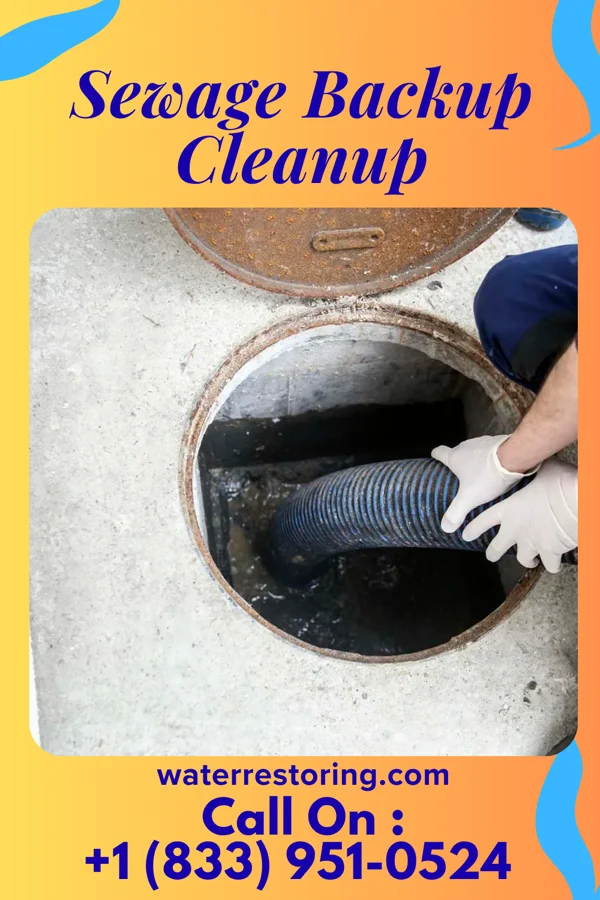 Sewage Backup Cleanup in Venedy, IL