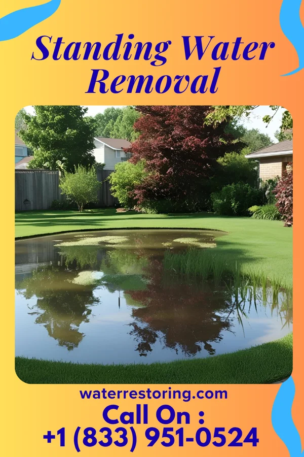 Standing Water Removal in Venedy, IL
